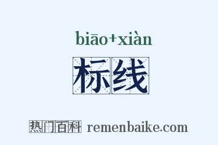 标线是什么意思的图片